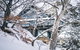 Pure Chalet Thredbo - thumb 27