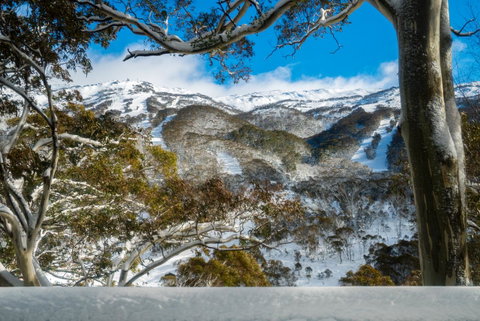 Pure Chalet Thredbo - Hotel WA 17