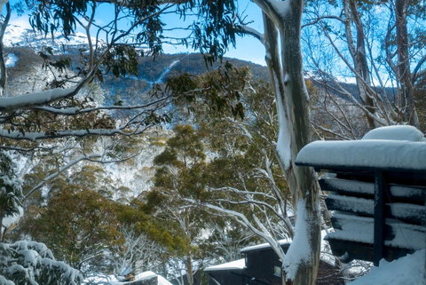 Pure Chalet Thredbo - Hotel WA 30
