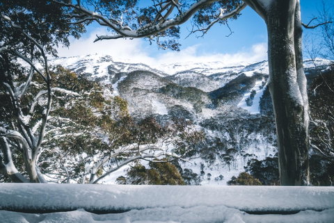 Pure Chalet Thredbo - Hotel WA 2