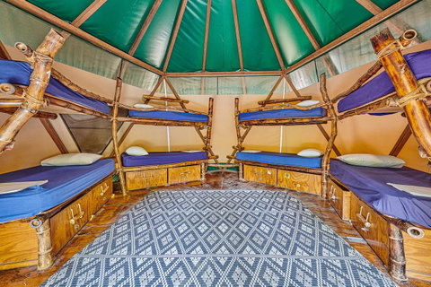 Arts Factory By Nomads - Hotel WA 4