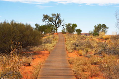 Discovery Resorts - Kings Canyon - Hotel WA 27