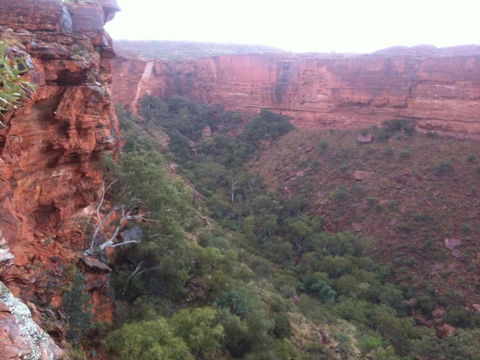 Discovery Resorts - Kings Canyon - Hotel WA 34