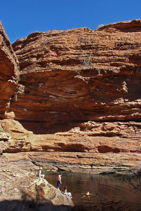 Discovery Resorts - Kings Canyon - Hotel WA 44