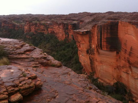 Discovery Resorts - Kings Canyon - Hotel WA 35