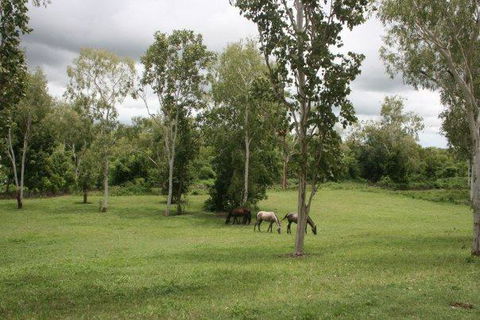 Mount Bundy Station - Hotel WA 25