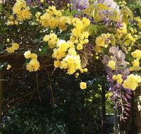 Bowral Road Bed and Breakfast - Hotel WA
