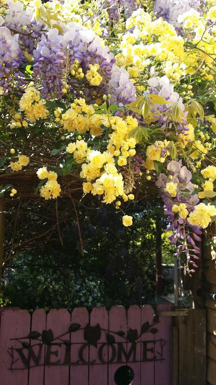 Bowral Road Bed And Breakfast - Hotel WA 0