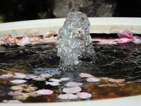Bowral Road Bed And Breakfast - Hotel WA 2