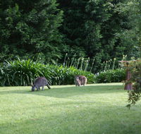 Bundanoon 2578 - Hotel WA
