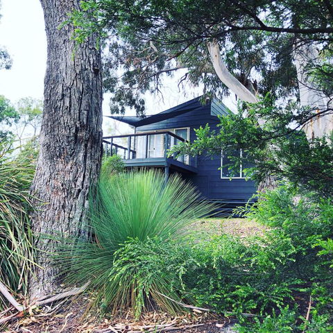 Bush Hideaway By The Beach - Hotel WA 3