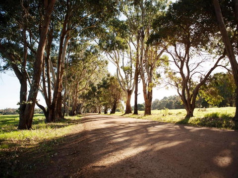 Bussells Bushland Cottages - Hotel WA 1