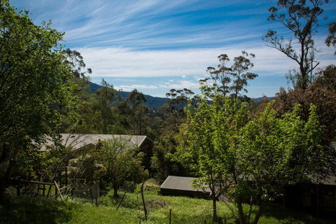 Buttercup Hill - Hotel WA 2
