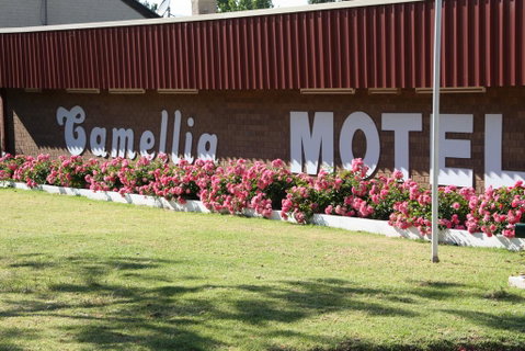 Camellia Motel - Hotel WA 2