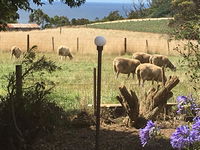 Book Table Cape Accommodation Vacations Hotel WA Hotel WA