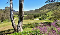 Book Capertee Accommodation Vacations Hotel WA Hotel WA