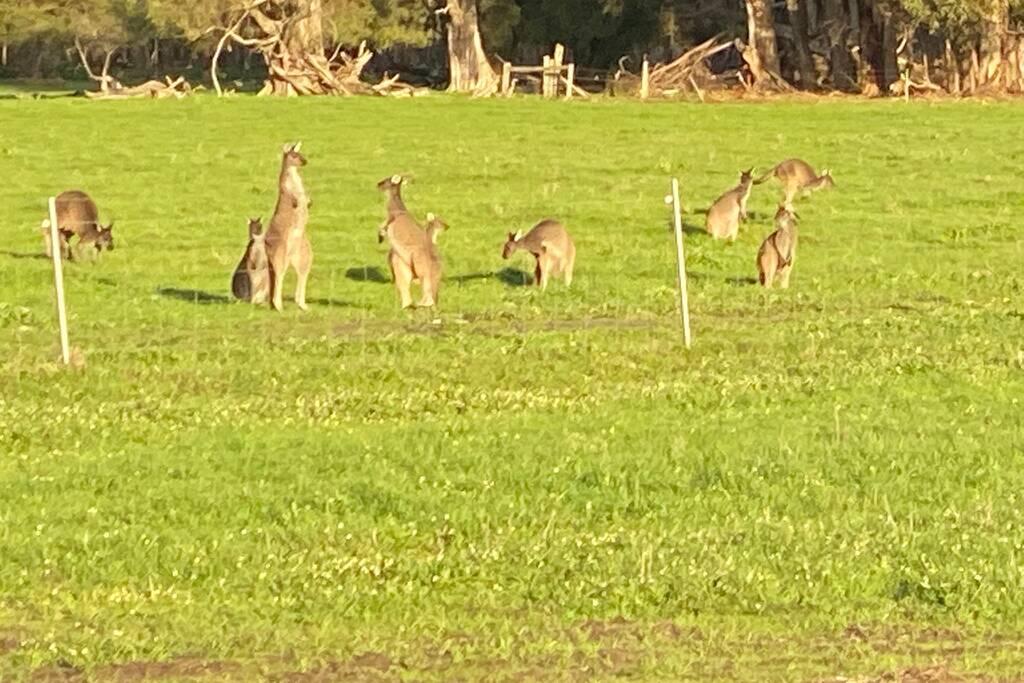Carbunup River WA Hotel WA