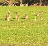 Carbunup Cottage - Hotel WA