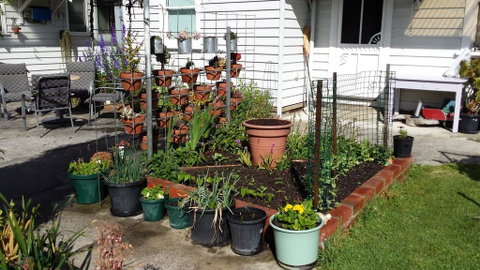 Carisbrook Cottage Queenscliff - Hotel WA 1