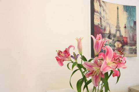 Carnegie Motor Inn - Hotel WA 3