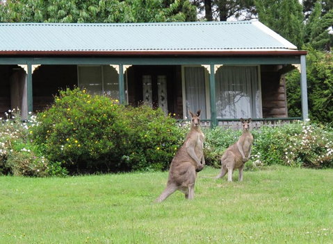 Cedar Lodge Cabins - Hotel WA 0