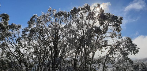 Cedarwood Apartments - Hotel WA 1