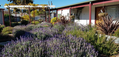 Clunes Motel - Hotel WA 1
