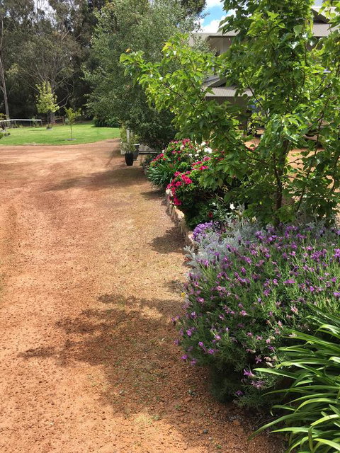 Coolajarra B&B - Hotel WA 2