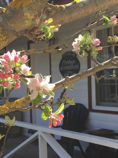 Coonawarra's Pyrus Cottage - Hotel WA 3