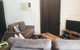 Cottage On Cork - Hatfield House - thumb 0