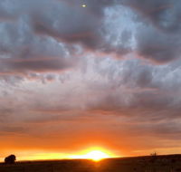 creative 3D sculpture share