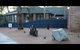 Cunningham Shore Motel - thumb 3