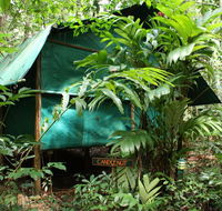 Daintree Crocodylus - Hotel WA