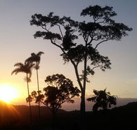 Daintree Holiday Homes - Yurara - Hotel WA