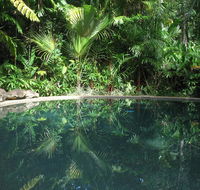 Daintree Rainforest Retreat Motel - Hotel WA