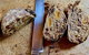 Daly View Bed & Breakfast - thumb 1