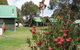 Derwent Bridge Chalets & Studios - thumb 1