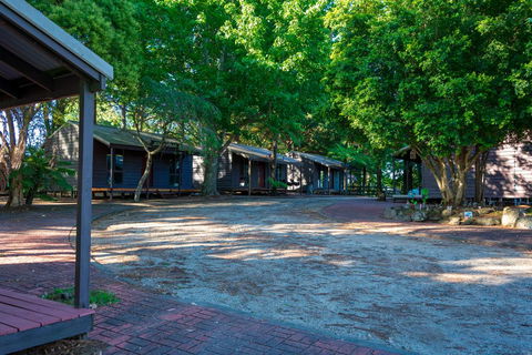 Dorrigo Mountain Holiday Park - Hotel WA 1
