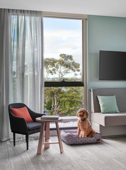 Element Melbourne Richmond - Hotel WA 3