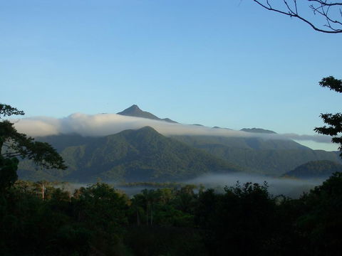 Epiphyte B & B - Hotel WA 0
