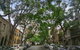 Family Terrace Home Minutes From Oxford Street And CBD - thumb 3