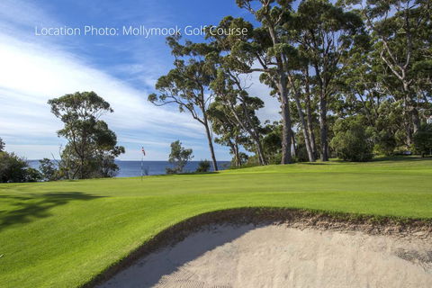 Fathoms 1 - Mollymook - Hotel WA 1