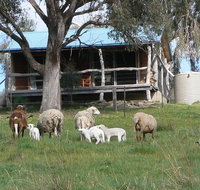 Gaddleen Grove Cottages - Hotel WA