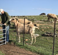 Gilgraves Vineyard Farmstay - Hotel WA