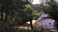 Book Zeehan Accommodation Vacations Hotel WA Hotel WA