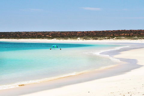 Gnaraloo Station - Homestead - Hotel WA 2