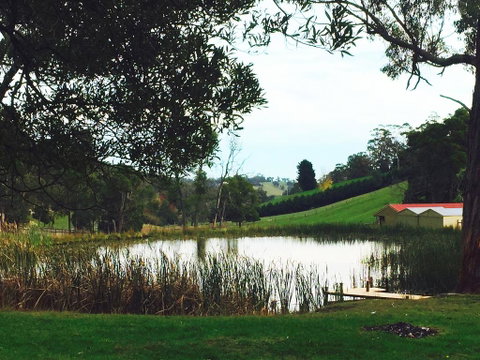Gracefield Estate - Hotel WA 0