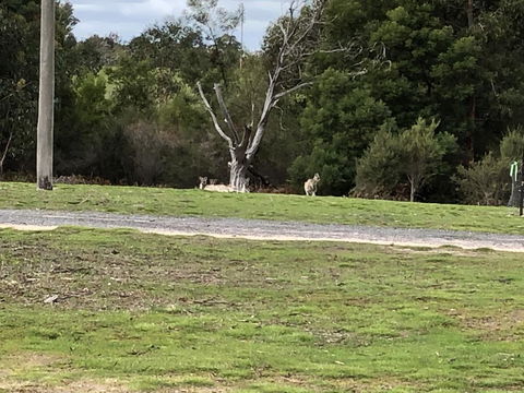 Grampians Old Man Emu Stay - Hotel WA 3