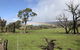 Grampians Old Man Emu Stay - thumb 2