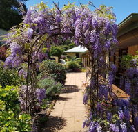 Gumtree House Montville - Hotel WA